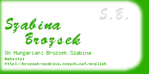 szabina brozsek business card